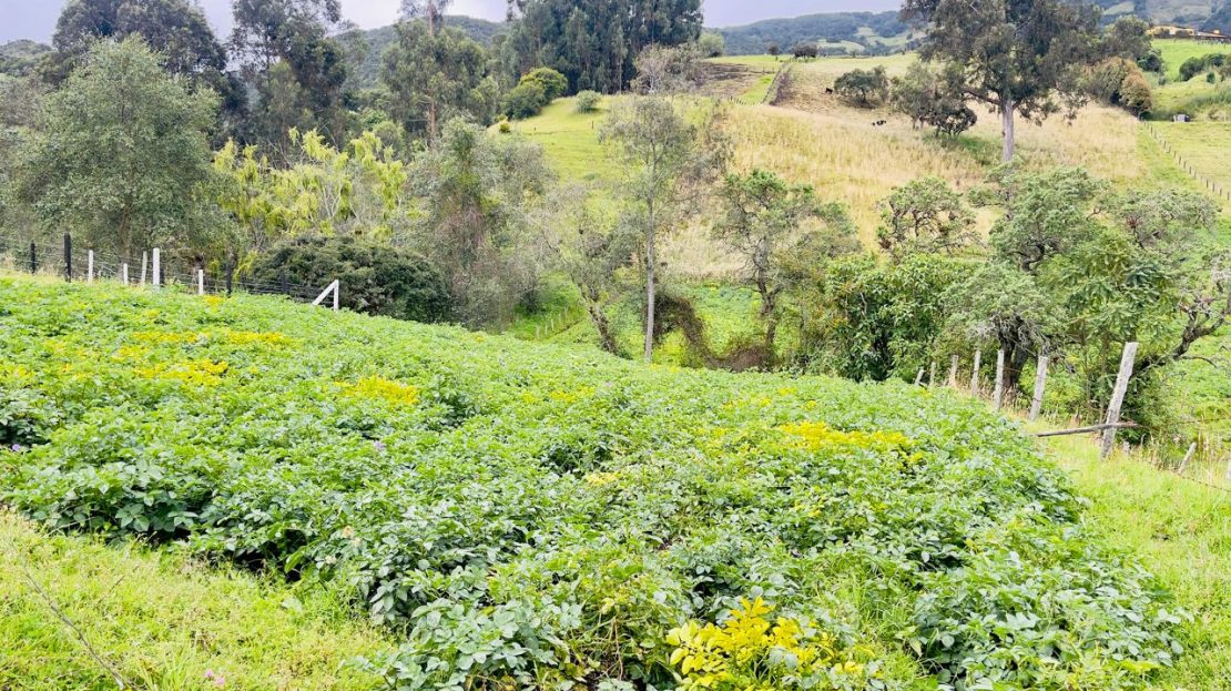 WhatsApp Image 2025 09 16 at 12.29.34 PM 1