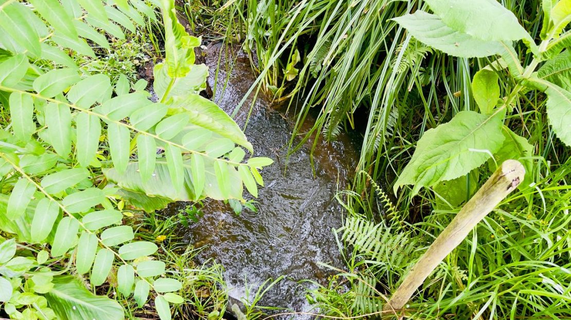 WhatsApp Image 2025 09 16 at 12.29.34 PM