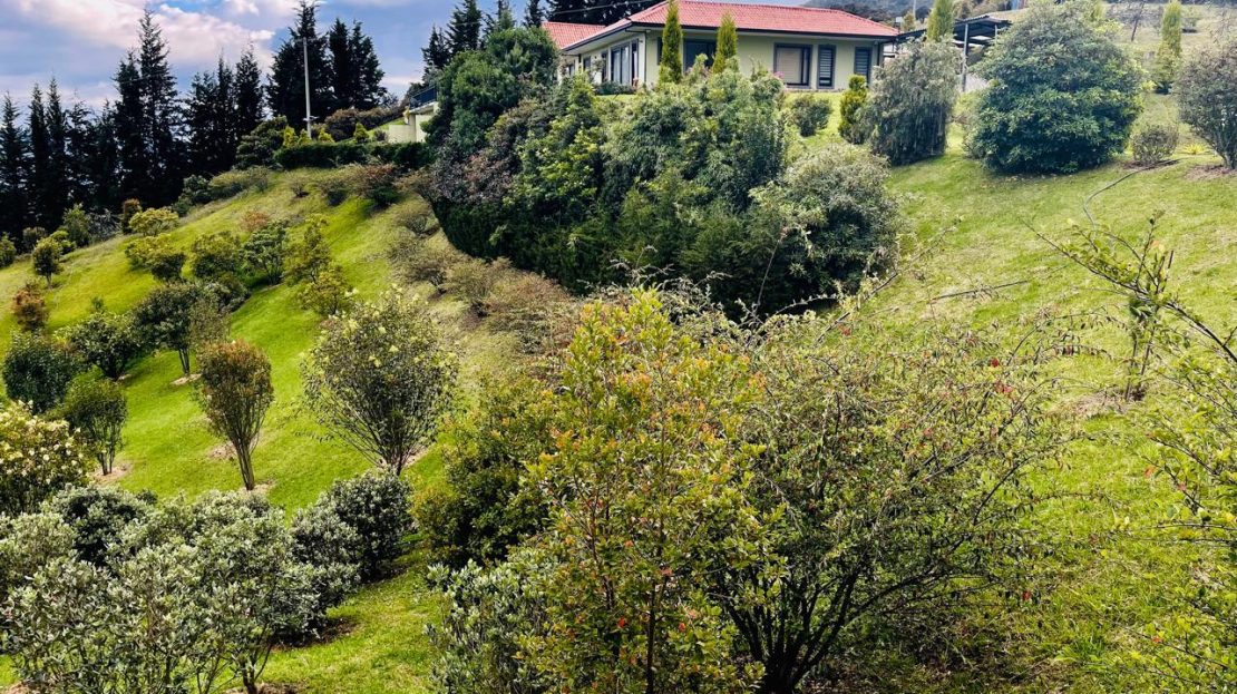 WhatsApp Image 2025 10 13 at 12.36.24 PM 1