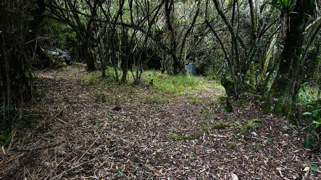 WhatsApp Image 2025 10 13 at 12.36.24 PM