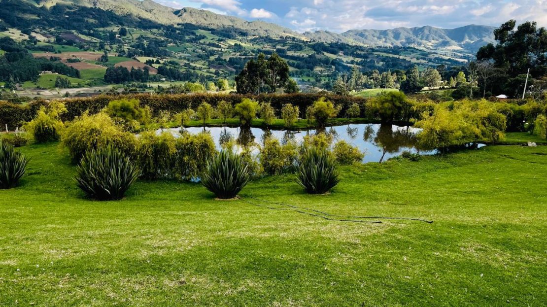 WhatsApp Image 2025 10 13 at 12.36.25 PM