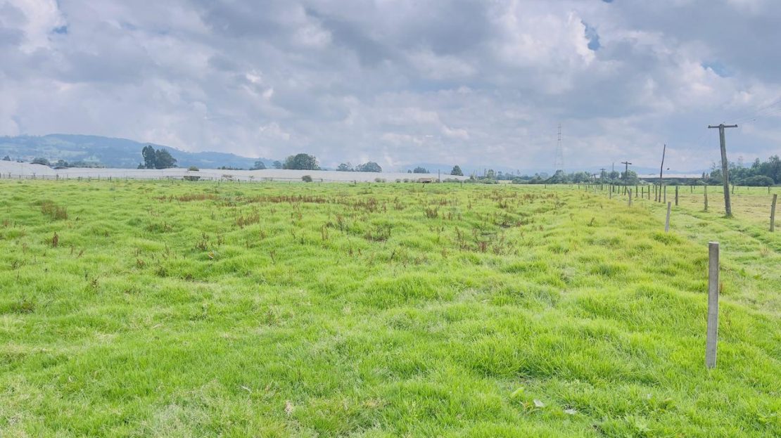 WhatsApp Image 2025 10 16 at 19.35.04