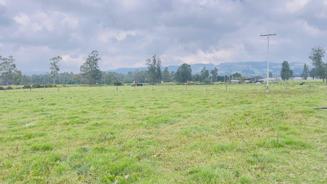 WhatsApp Image 2025 10 16 at 19.35.05 15