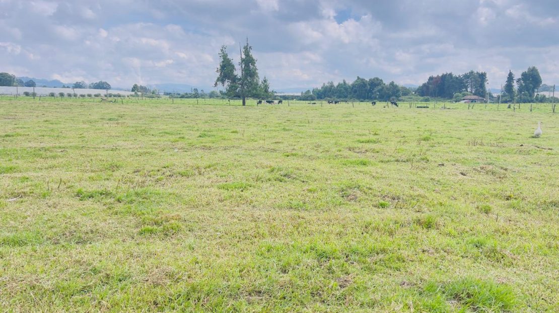 WhatsApp Image 2025 10 16 at 19.35.05 4