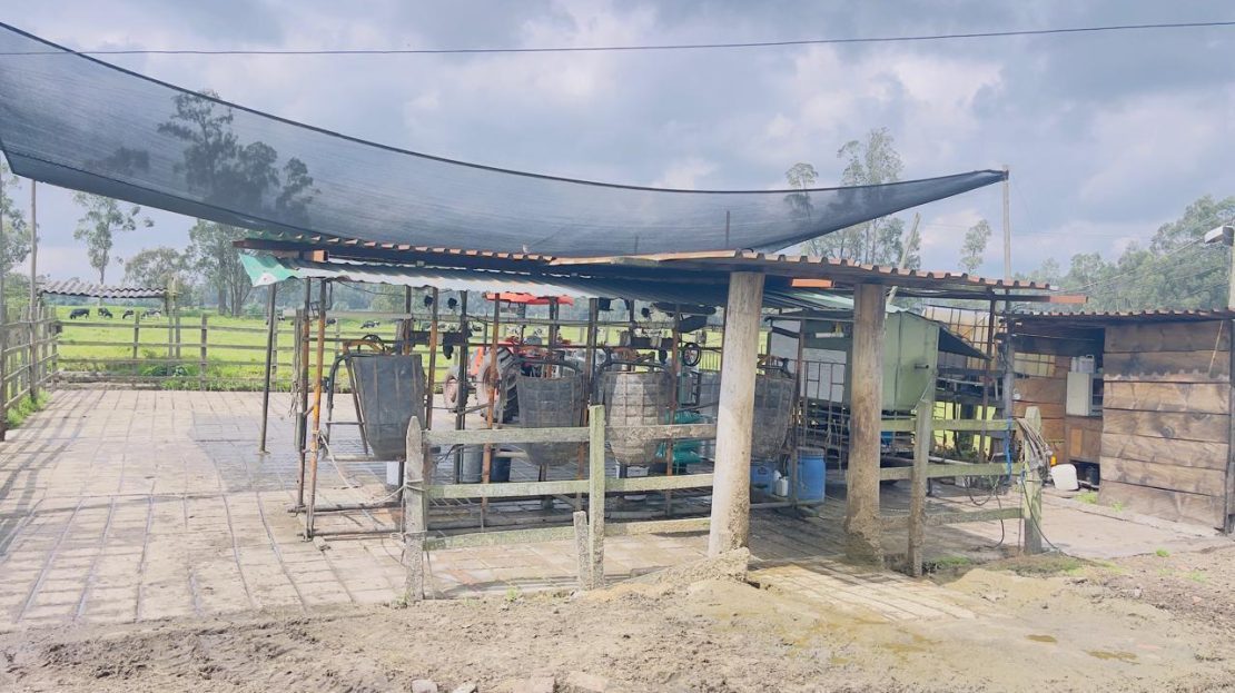 WhatsApp Image 2025 10 16 at 19.35.05 9