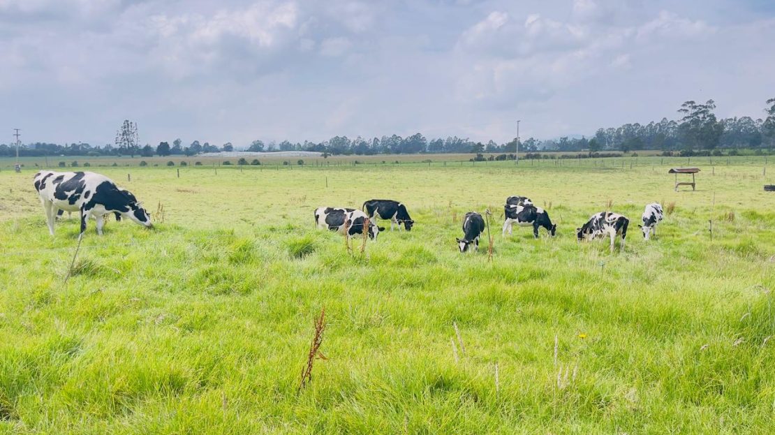 WhatsApp Image 2025 10 16 at 19.35.06 8