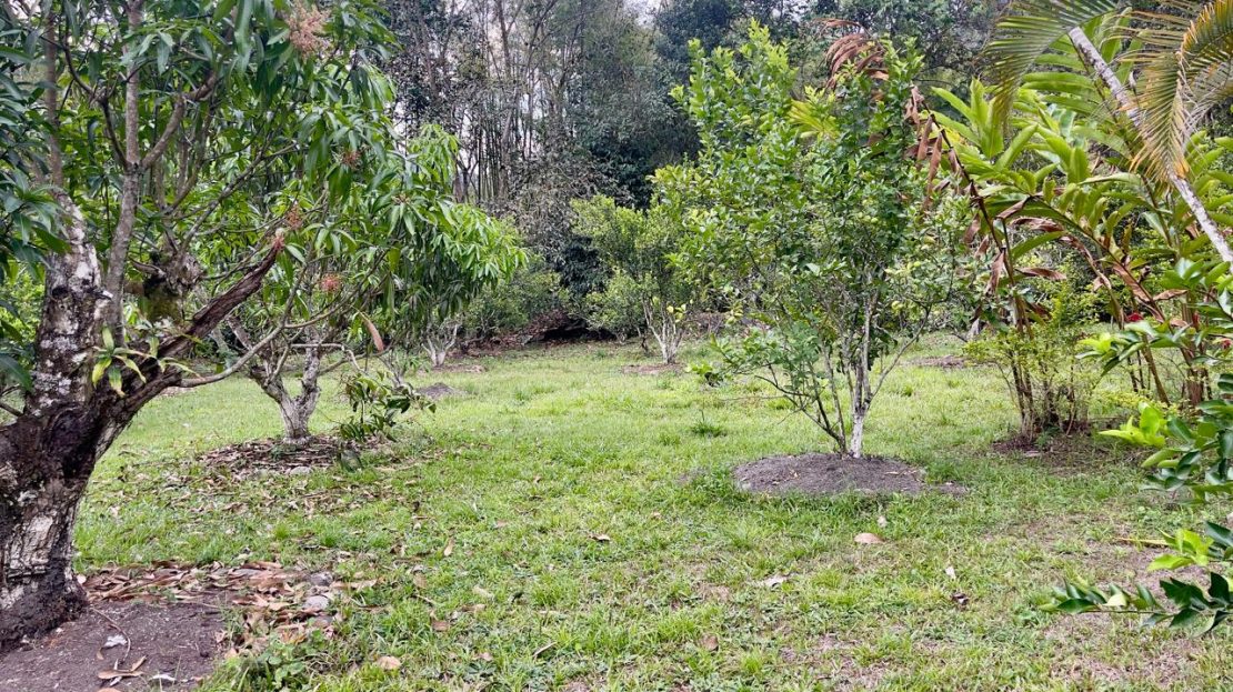 WhatsApp Image 2025 10 17 at 09.57.05 15 1