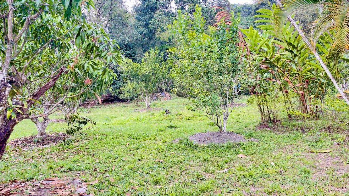 WhatsApp Image 2025 10 17 at 09.57.05 17 1