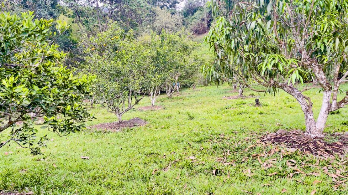 WhatsApp Image 2025 10 17 at 09.57.06 3