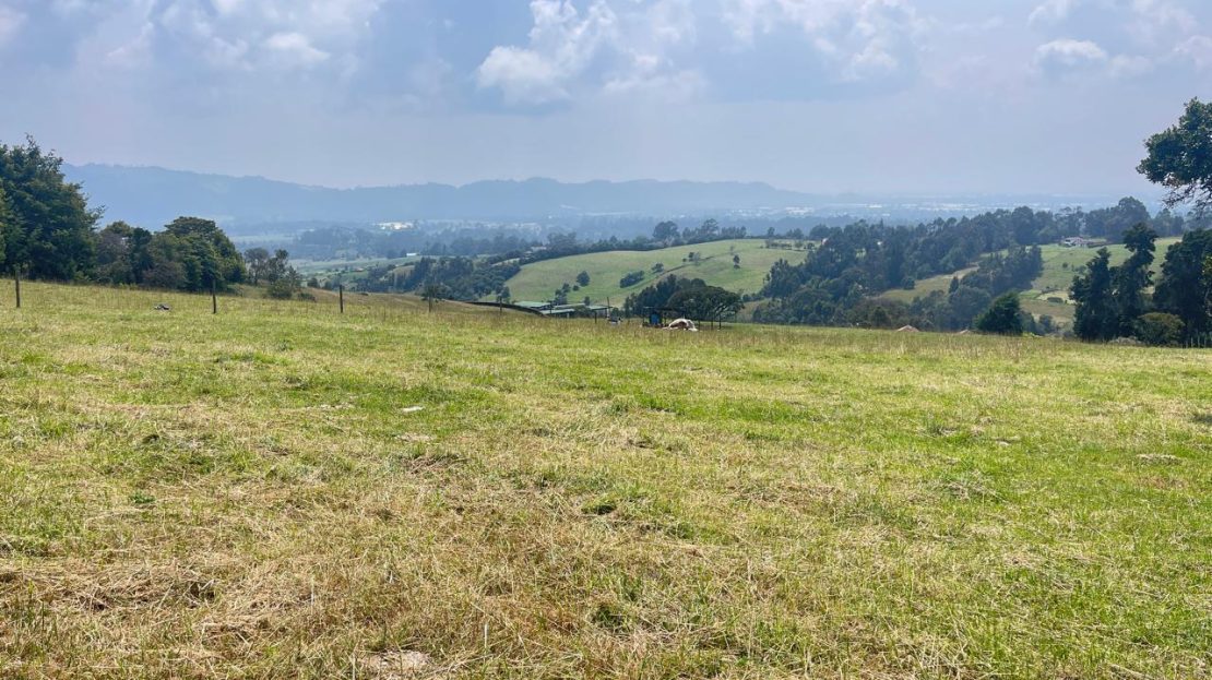 WhatsApp Image 2026 01 27 at 09.12.26 9