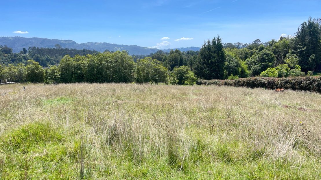 WhatsApp Image 2026 03 07 at 12.41.18 1