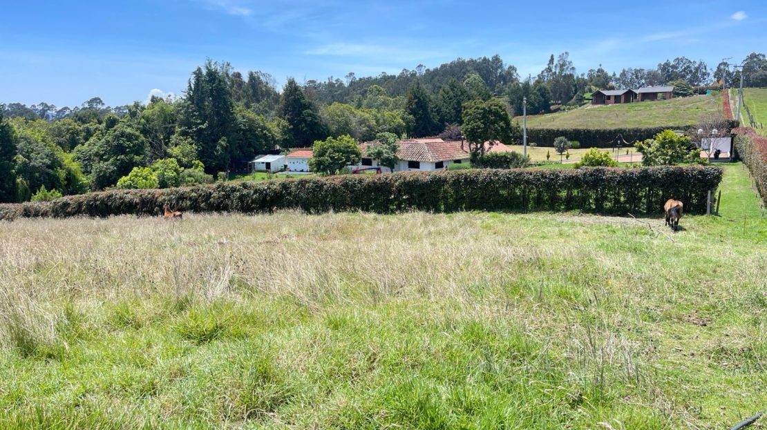 WhatsApp Image 2026 03 07 at 12.41.18