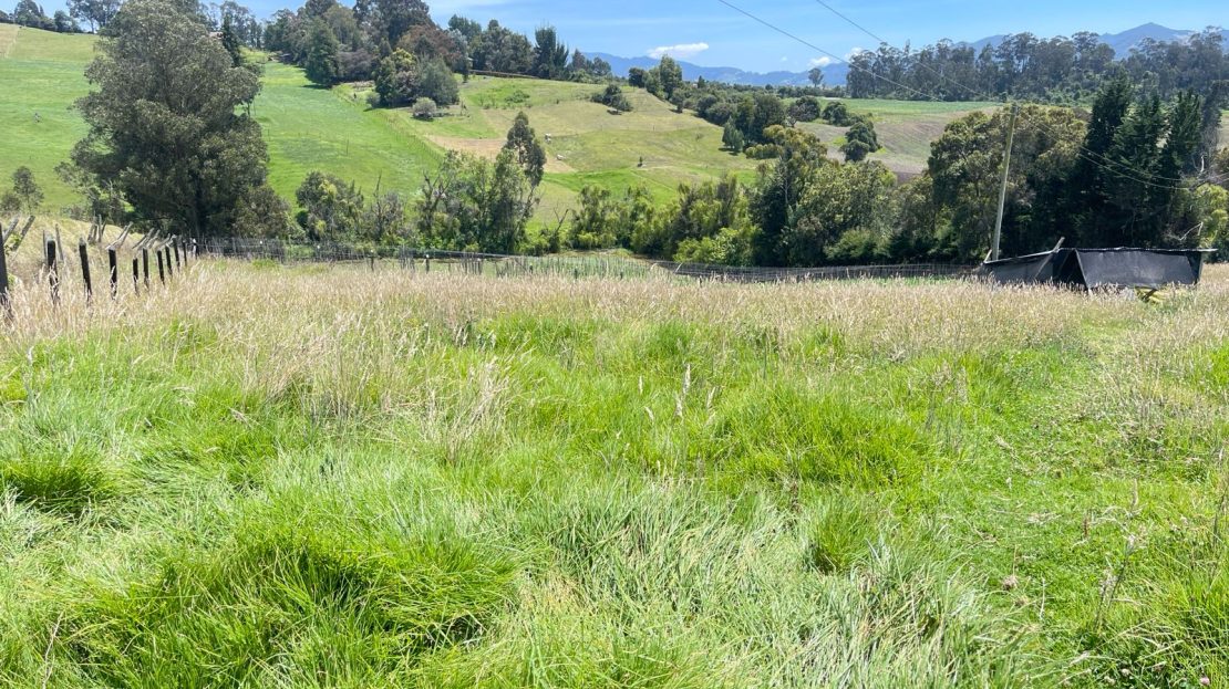 WhatsApp Image 2026 03 07 at 12.41.19