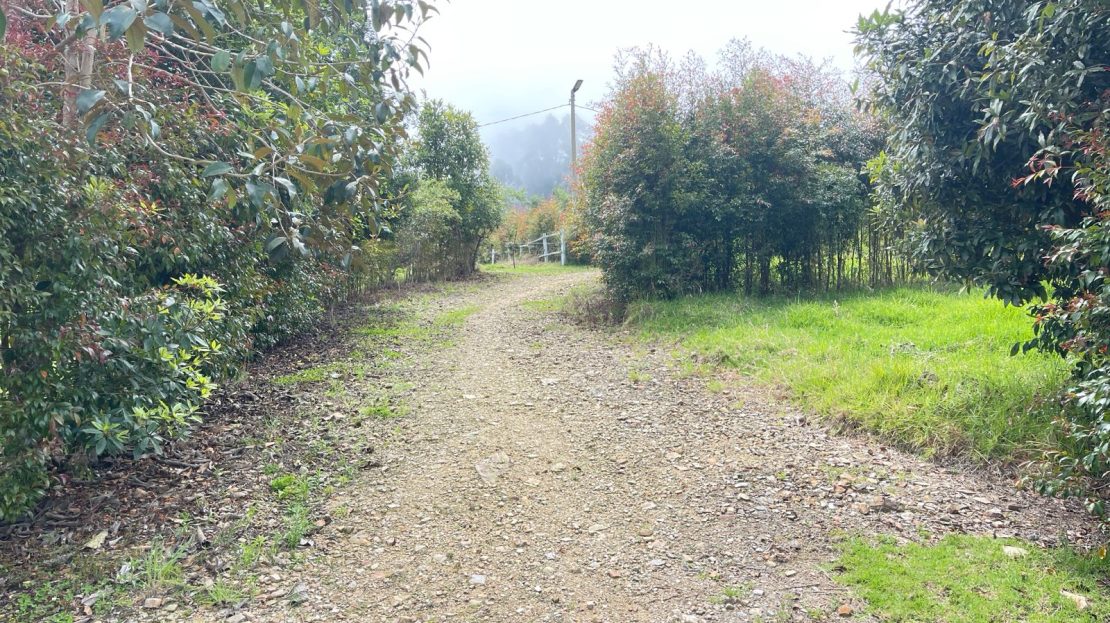 WhatsApp Image 2026 03 07 at 13.16.55