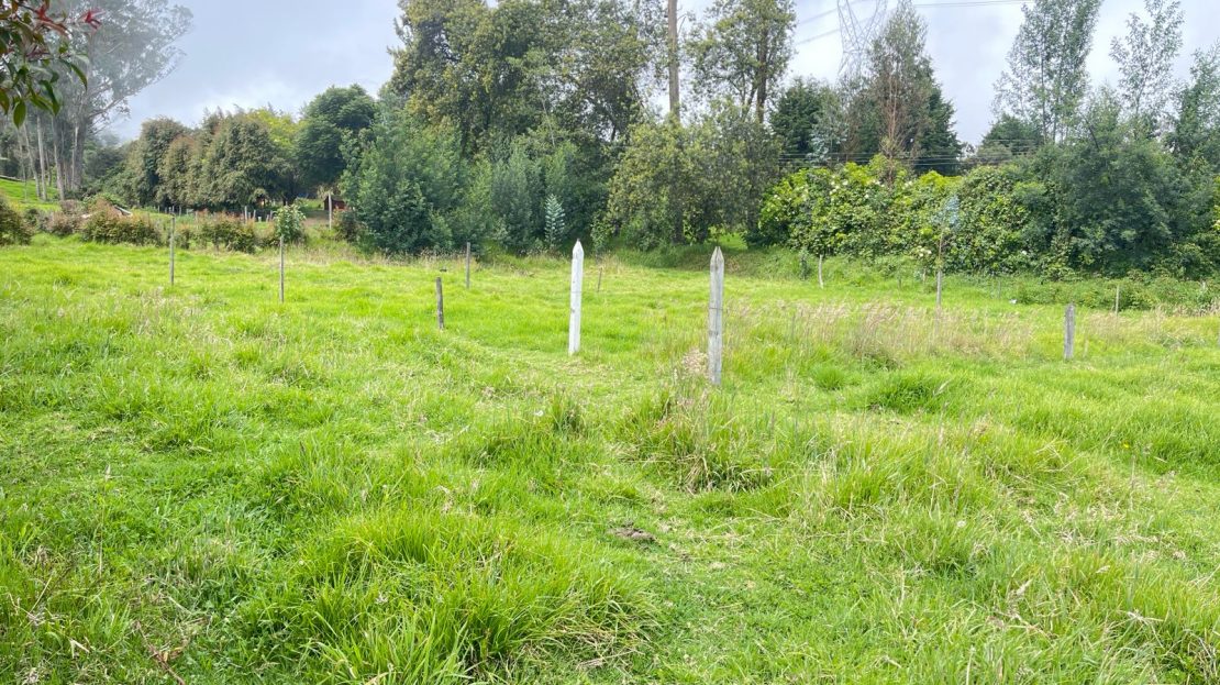 WhatsApp Image 2026 03 07 at 13.16.57