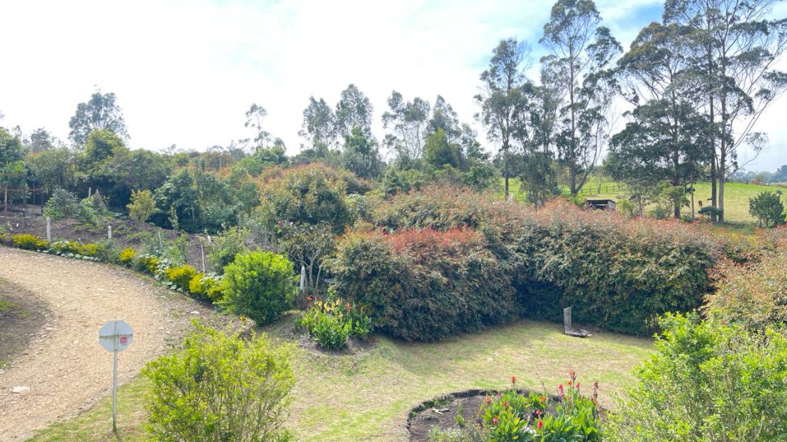 WhatsApp Image 2026 03 07 at 13.19.16