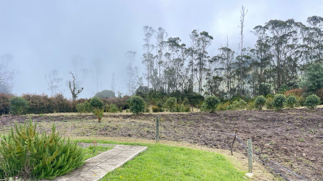 WhatsApp Image 2026 03 21 at 10.05.36 2