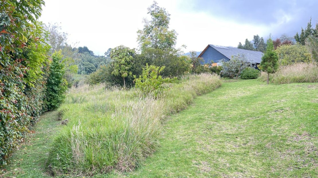 WhatsApp Image 2026 03 21 at 10.17.40