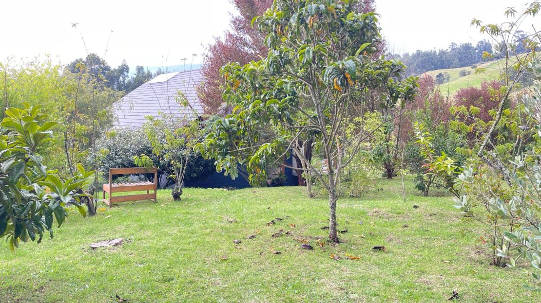 WhatsApp Image 2026 03 21 at 10.17.43