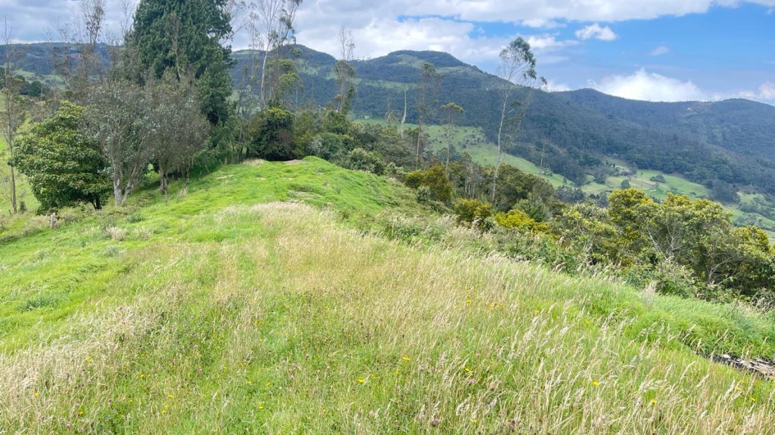 WhatsApp Image 2026 03 21 at 10.21.10 2