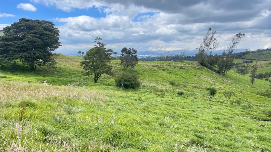 WhatsApp Image 2026 03 21 at 10.21.10 3