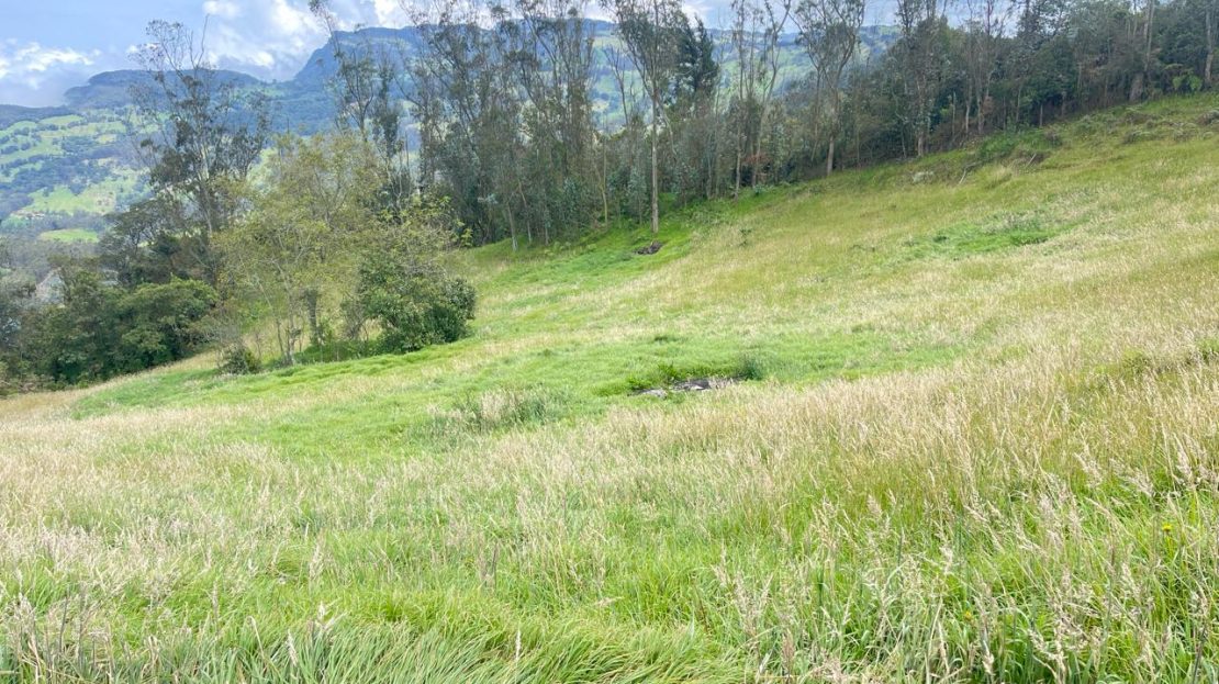 WhatsApp Image 2026 03 21 at 10.21.10 5