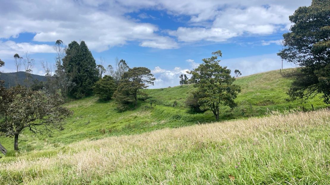 WhatsApp Image 2026 03 21 at 10.21.12 1