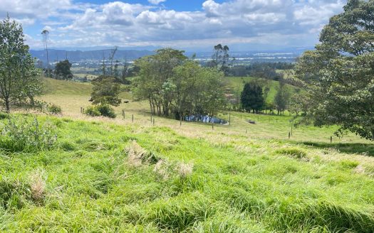 WhatsApp Image 2026 03 21 at 10.21.12 3