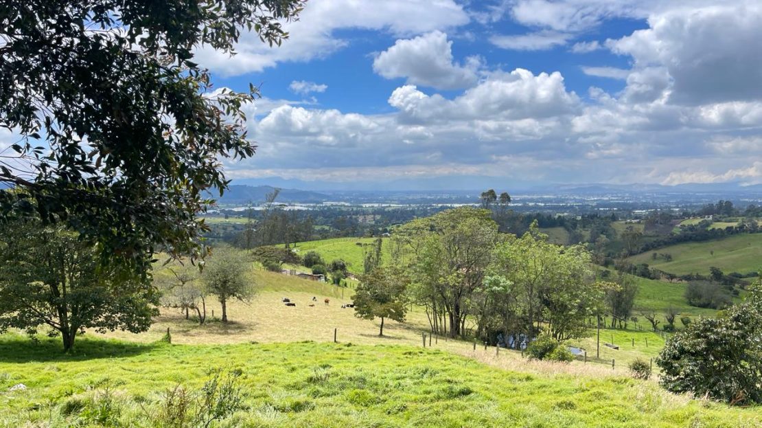 WhatsApp Image 2026 03 21 at 10.21.13