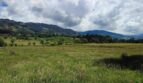 LOTE CAMPESTRE PLANO 11 imagen