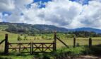 LOTE CAMPESTRE PLANO 9 imagen