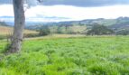 Hermoso lote campestre 18 imagen