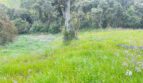 Hermoso lote campestre 29 imagen