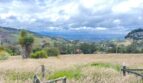 Casa campestre con excelente lote 41 imagen