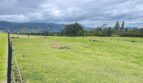 Hermosa finca campestre 60 imagen
